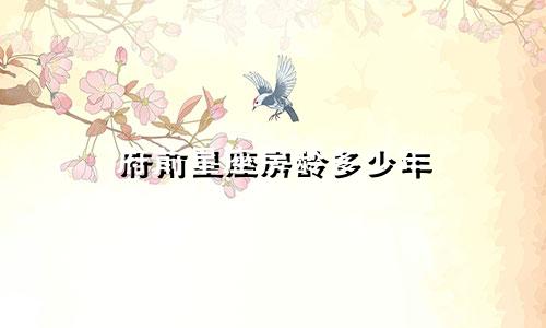 府前星座房龄多少年