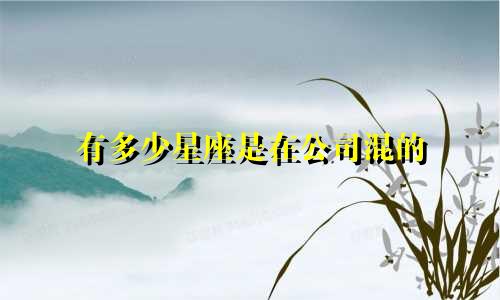 有多少星座是在公司混的