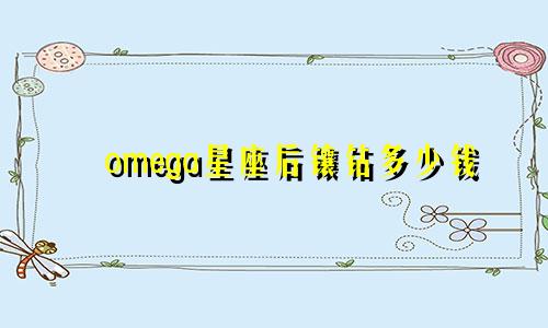 omega星座后镶钻多少钱