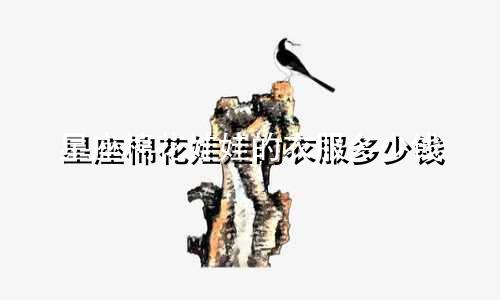 星座棉花娃娃的衣服多少钱