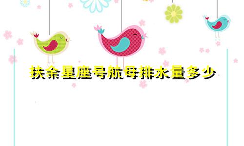 扶余星座号航母排水量多少