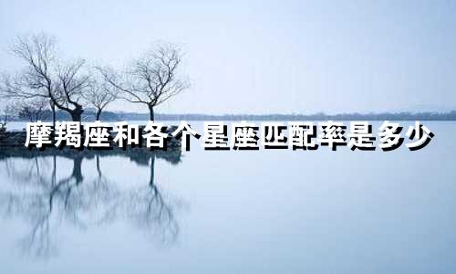 摩羯座和各个星座匹配率是多少