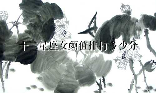 十二星座女颜值排打多少分