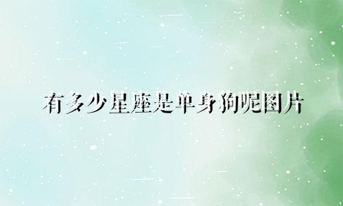 有多少星座是单身狗呢图片