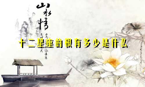 十二星座的根有多少是什么