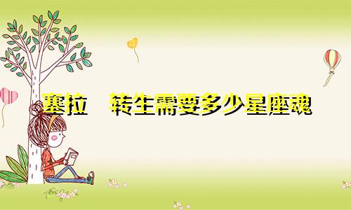塞拉囧转生需要多少星座魂
