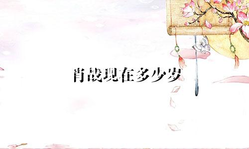 肖战现在多少岁 什么星座