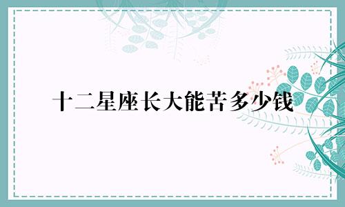 十二星座长大能苦多少钱