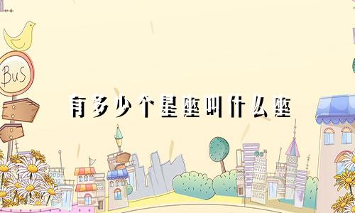 有多少个星座叫什么座