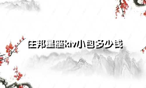 住邦星座ktv小包多少钱
