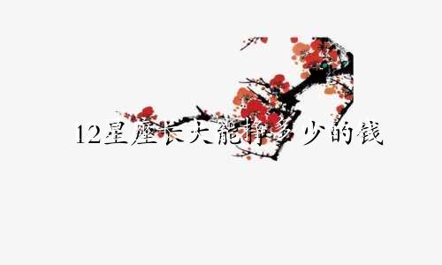 12星座长大能挣多少的钱