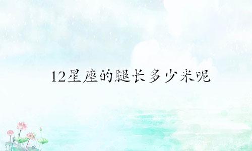 12星座的腿长多少米呢