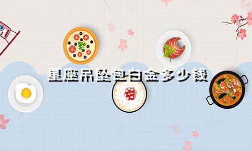星座吊坠包白金多少钱