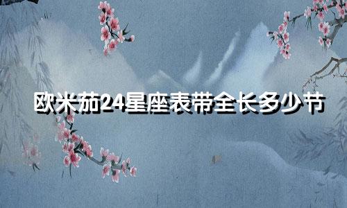 欧米茄24星座表带全长多少节