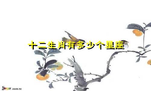 十二生肖有多少个星座