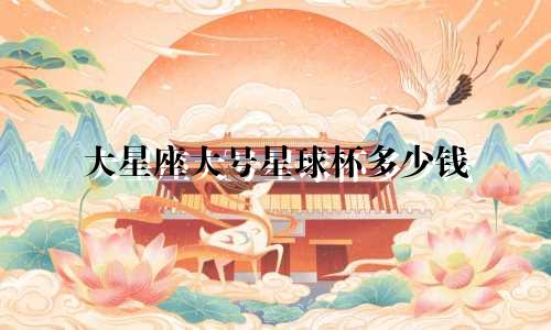大星座大号星球杯多少钱