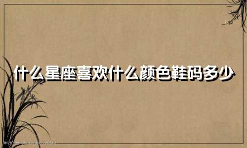 什么星座喜欢什么颜色鞋码多少