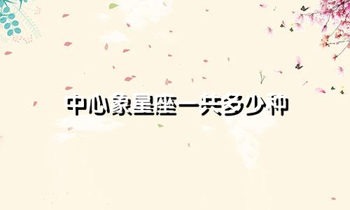 中心象星座一共多少种