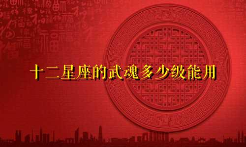 十二星座的武魂多少级能用