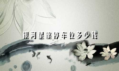 银河星座停车位多少钱