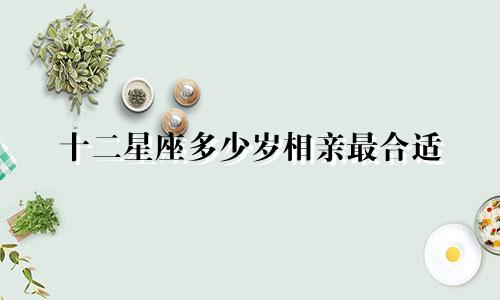 十二星座多少岁相亲最合适