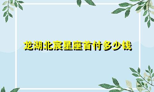 龙湖北宸星座首付多少钱