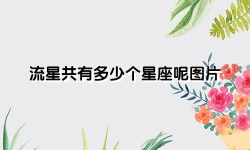 流星共有多少个星座呢图片