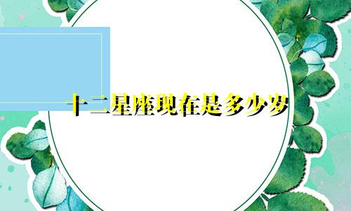 十二星座现在是多少岁