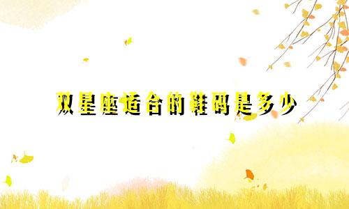 双星座适合的鞋码是多少