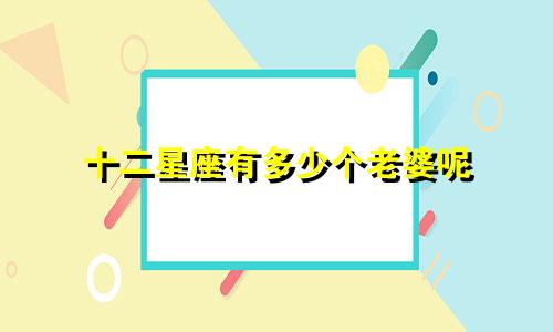 十二星座有多少个老婆呢