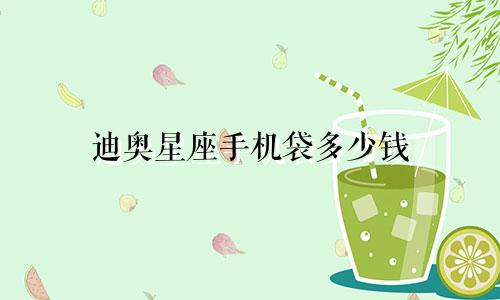迪奥星座手机袋多少钱