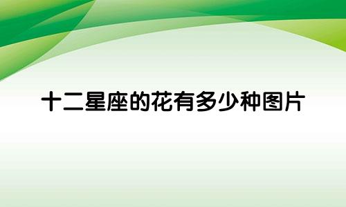 十二星座的花有多少种图片