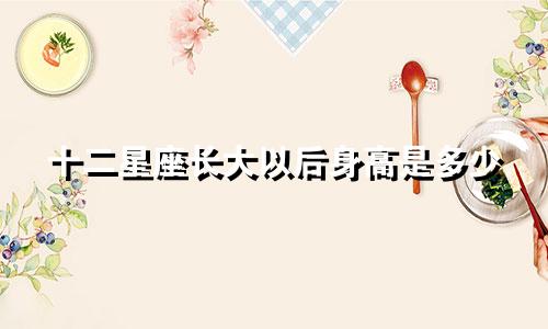 十二星座长大以后身高是多少