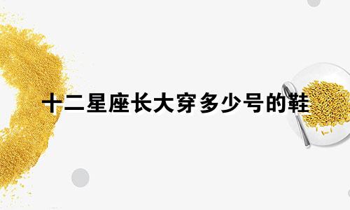 十二星座长大穿多少号的鞋