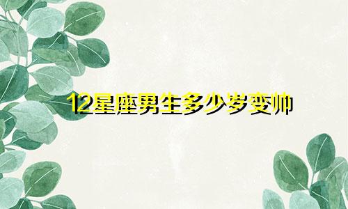 12星座男生多少岁变帅