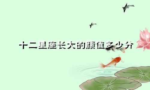 十二星座长大的颜值多少分