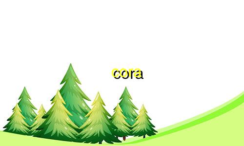 cora 公主星座花语多少钱