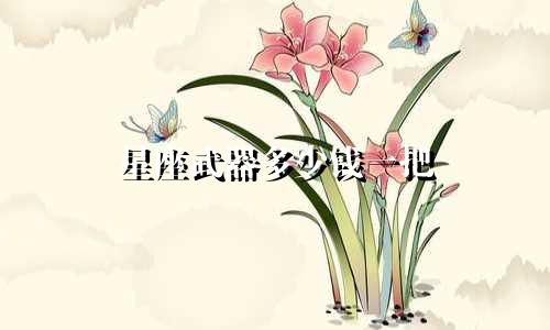 星座武器多少钱一把