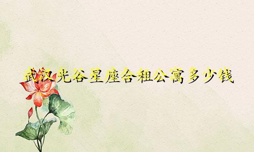 武汉光谷星座合租公寓多少钱