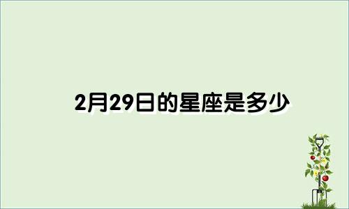 2月29日的星座是多少