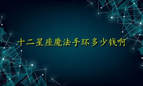 十二星座魔法手环多少钱啊
