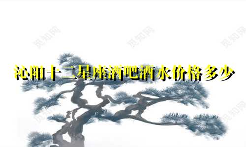 沁阳十二星座酒吧酒水价格多少