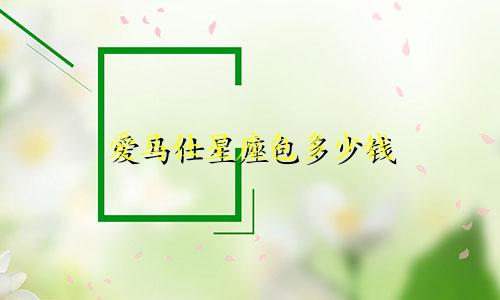 爱马仕星座包多少钱