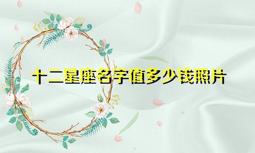 十二星座名字值多少钱照片