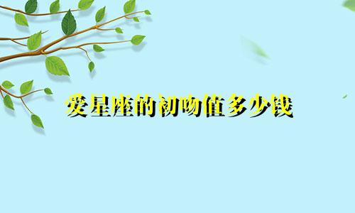 爱星座的初吻值多少钱