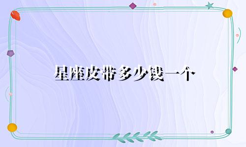 星座皮带多少钱一个