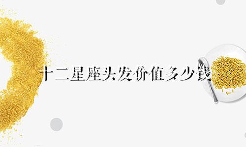 十二星座头发价值多少钱
