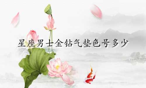 星座男士金钻气垫色号多少