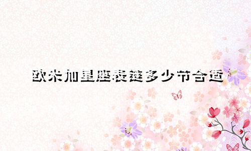 欧米加星座表链多少节合适