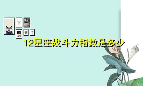 12星座战斗力指数是多少
